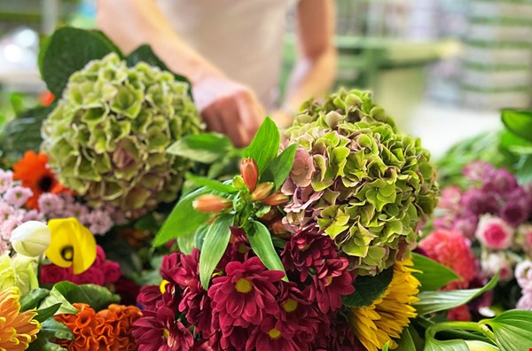 No Waste Friday bloemen van e-bloom